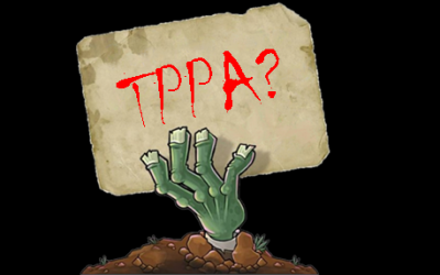 Election edition of It’s Our Future Bulletin