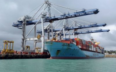 RNZ:  TPP deal hinges on coalition decision