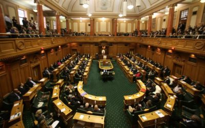 It’s Our Future Press Release: Parliament should review international treaty powers